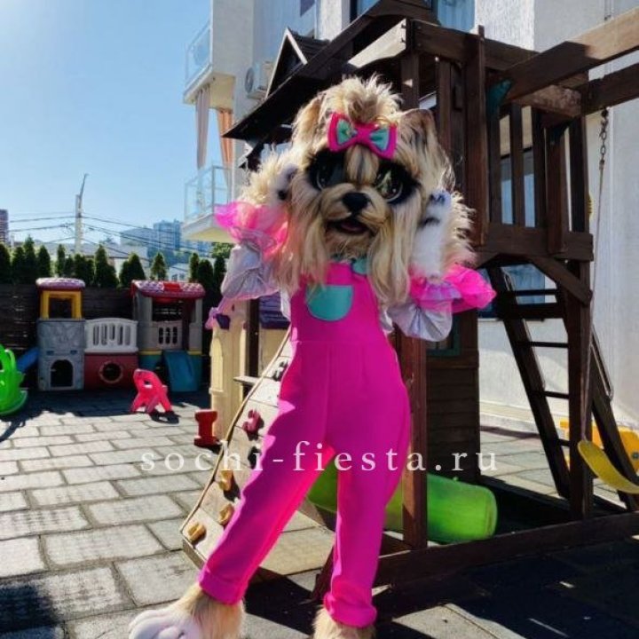 Аниматор Гламурная Собака в Нижневартовске