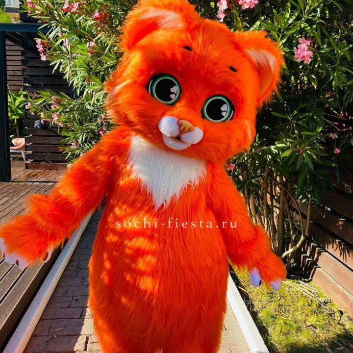 Аниматор Котик в Нижневартовске