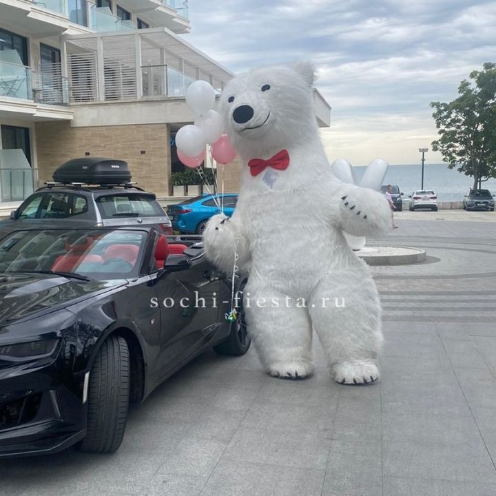 Аниматор Белый Медведь в Нижневартовске