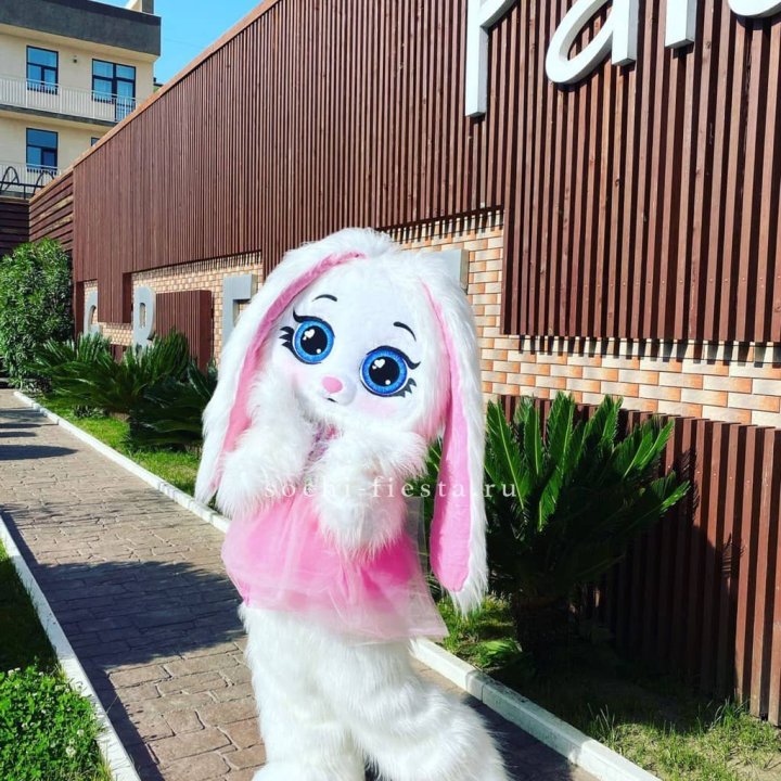 Аниматор Зайка в Нижневартовске