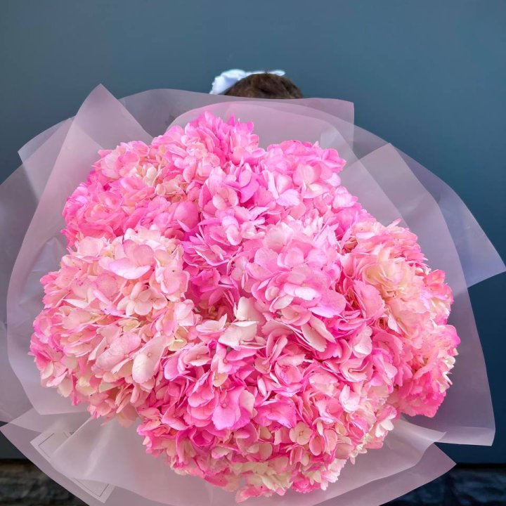 9 ярко розовых гортензий в Нижневартовске