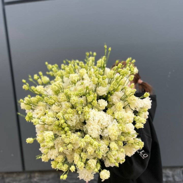 51 белая эустома в Нижневартовске