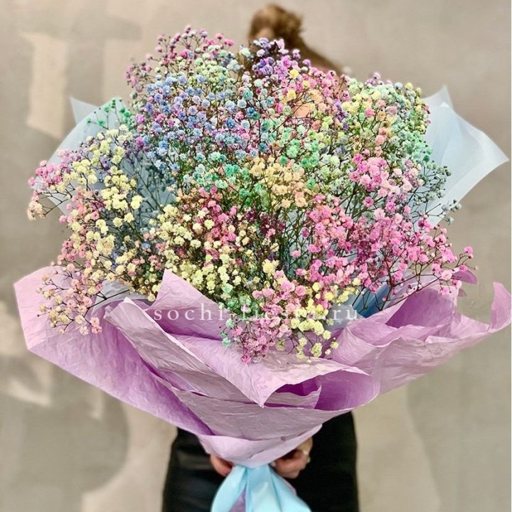 Радужные гипсофилы №2 в Нижневартовске