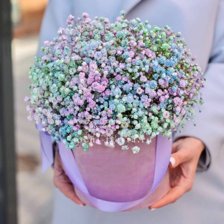 Гипсофилы в шляпной коробке "Кандилайт" в Нижневартовске