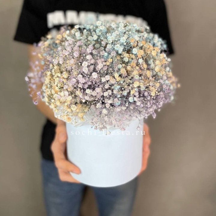 9 Радужных гипсофил в шляпной коробке в Нижневартовске