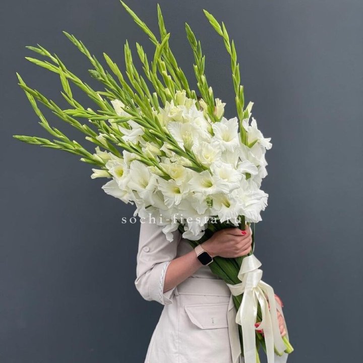 19 белых гладиолусов под ленту в Нижневартовске