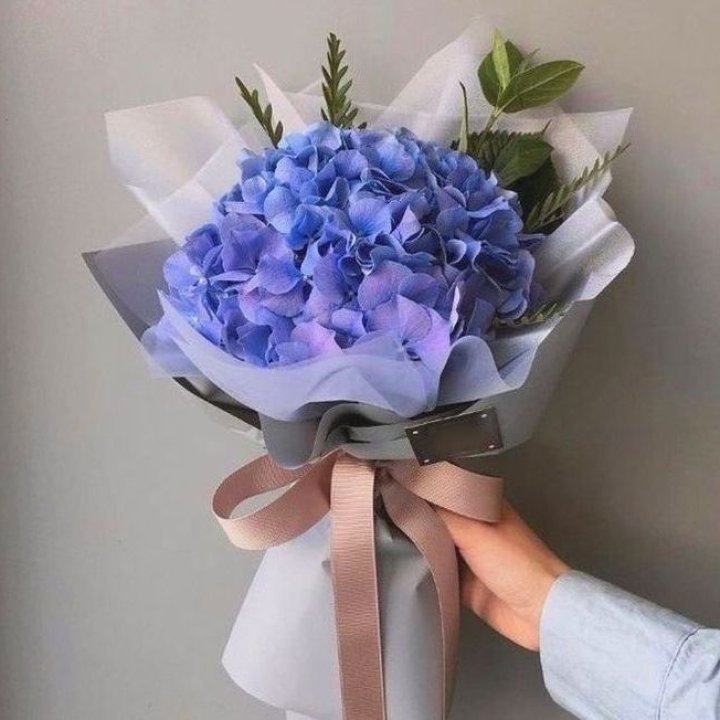 Гортензия голубая в Нижневартовске