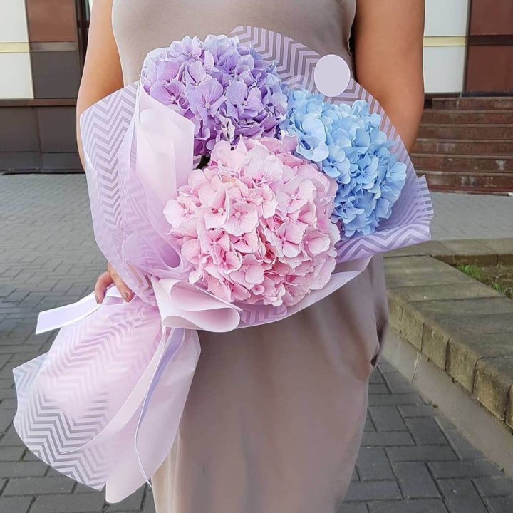 Букет гортензий "Пуф" в Нижневартовске