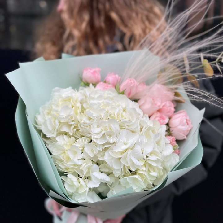 Гортензия "Жасмин" в Нижневартовске