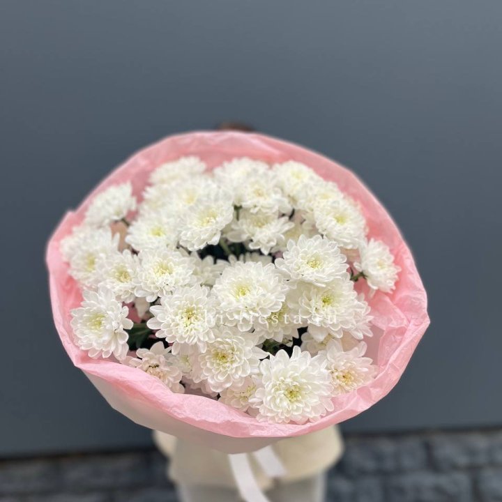  5 хризантем  с доставкой в Нижневартовске