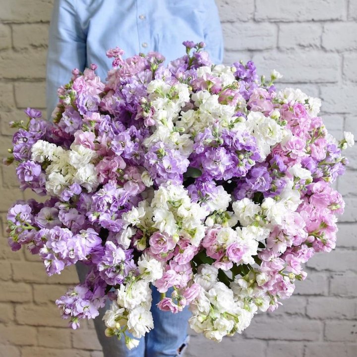 Облако маттиол в Нижневартовске