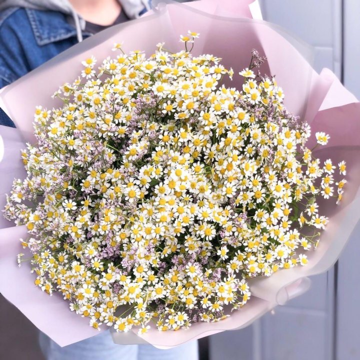 Букет ромашек №1 в Нижневартовске