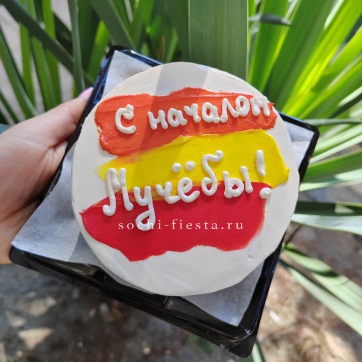 Бенто-торт "С началом учёбы"" в Нижневартовске