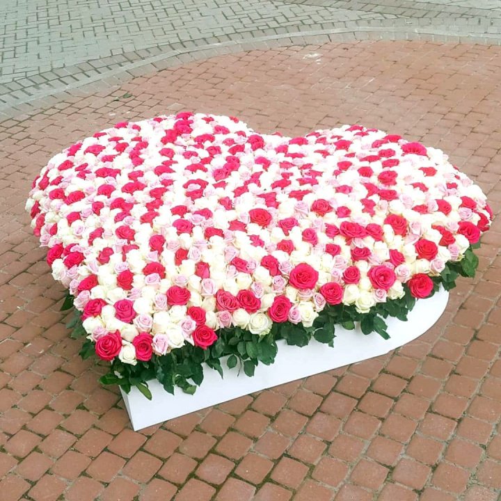 555 роза  в Нижневартовске