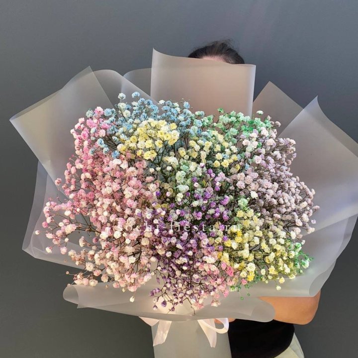 Радужные гипсофилы  в Нижневартовске