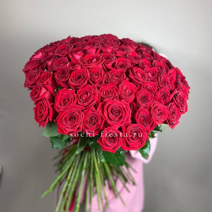 101  голландская роза  в Нижневартовске