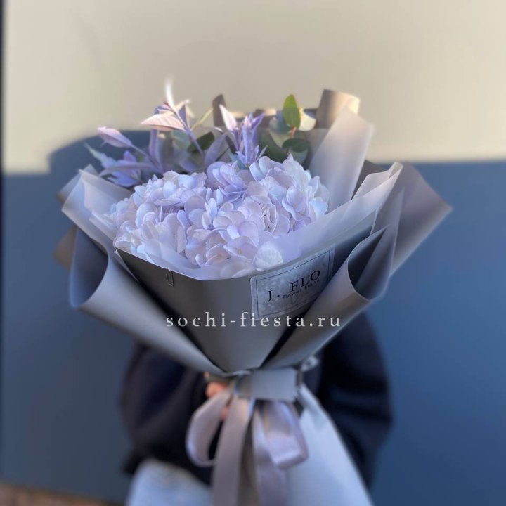 Гортензия "Виолета" в Нижневартовске