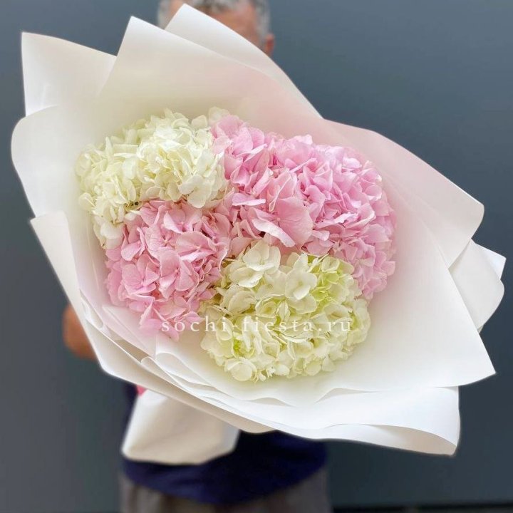 Букет гортензий №5 в Нижневартовске