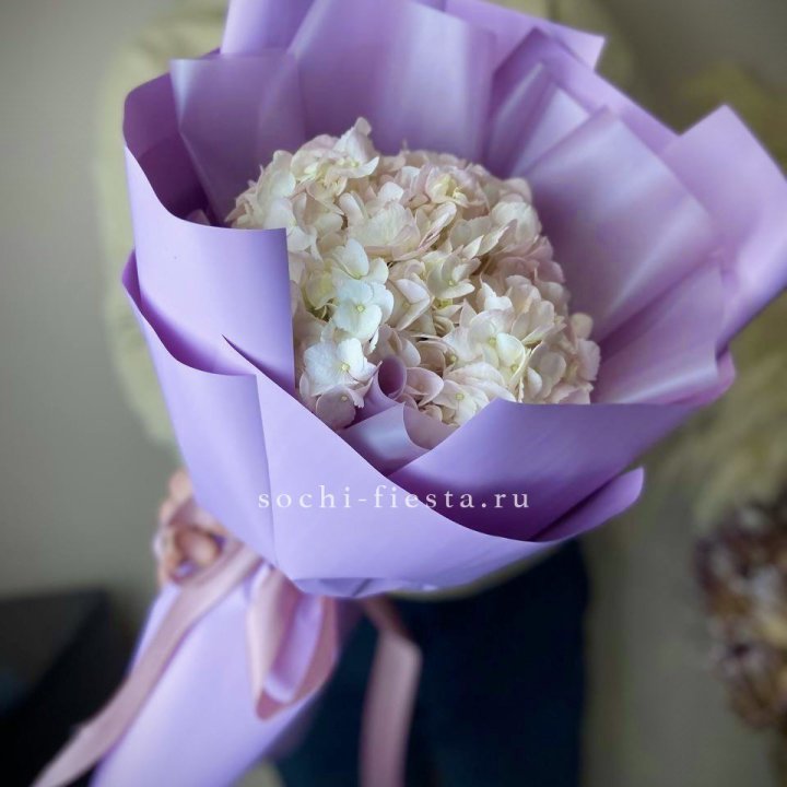 Гортензия розовая в Нижневартовске