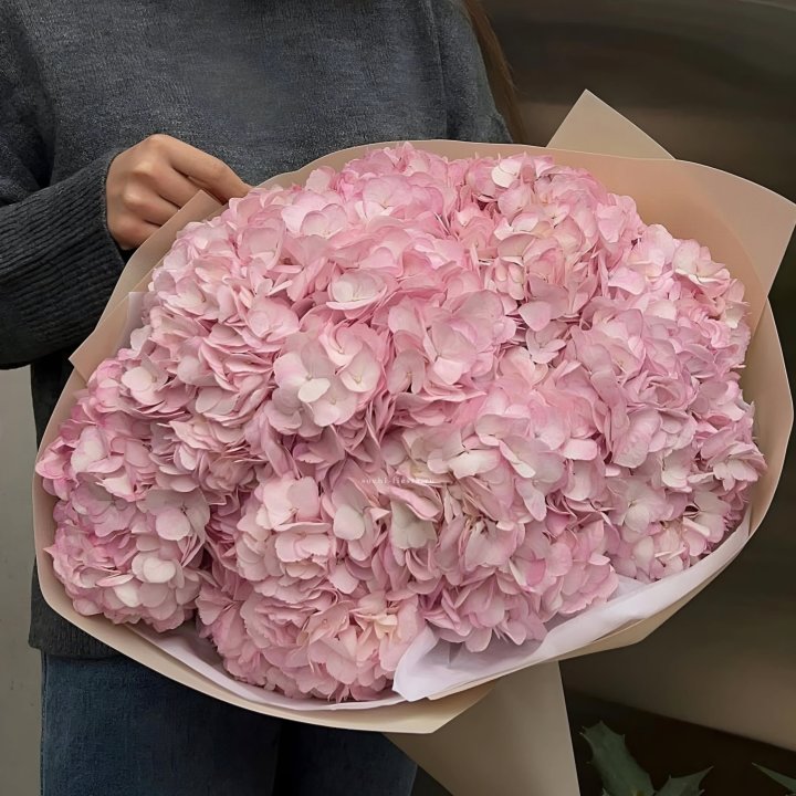 Гортензия  "РОЗЕ" в Нижневартовске