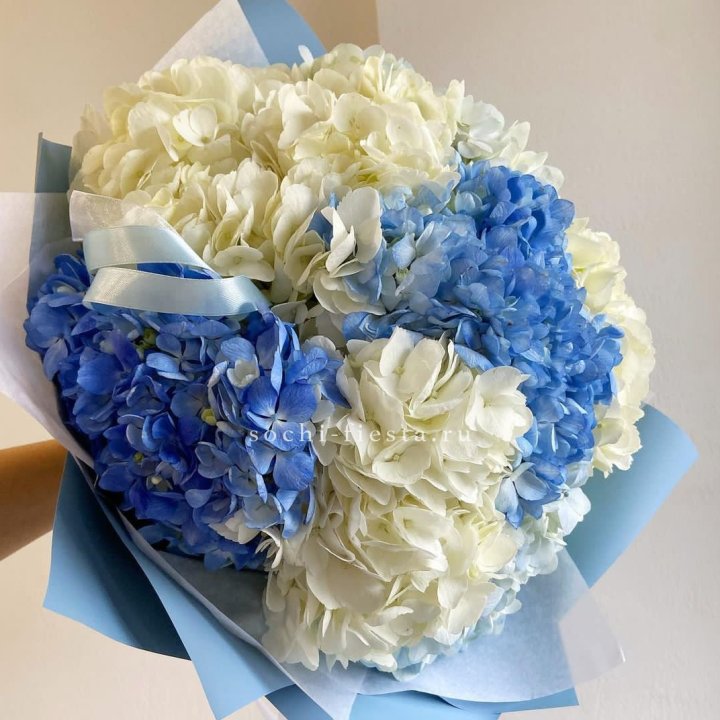 Букет гортензий "Голубая лаза" в Нижневартовске