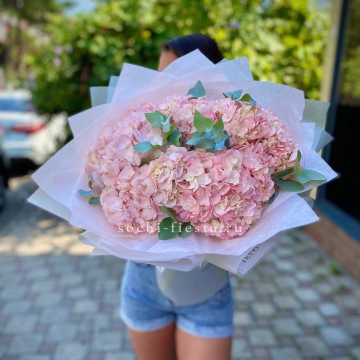 5 розовых гортензий  в Нижневартовске