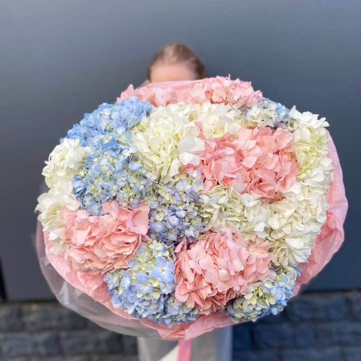 19 гортензий микс в Нижневартовске