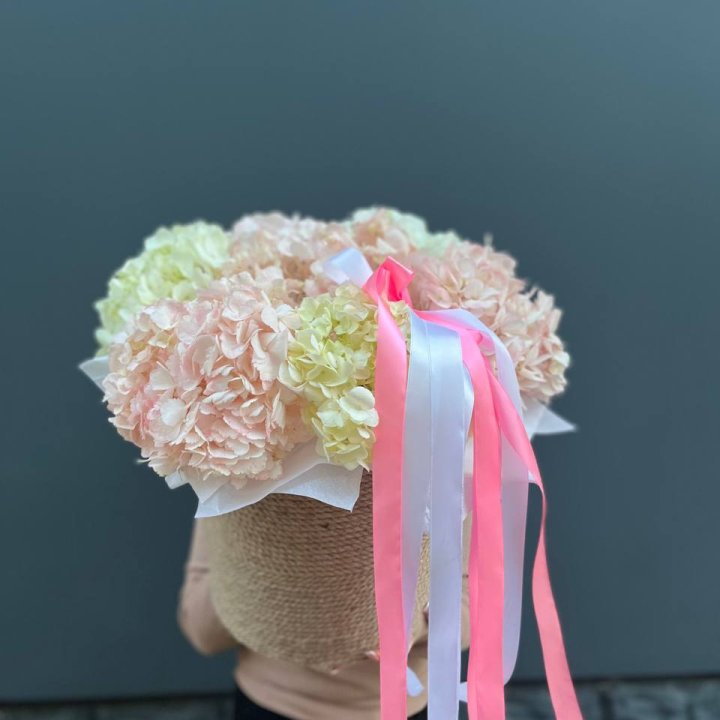 7 гортензий в кашпо в Нижневартовске