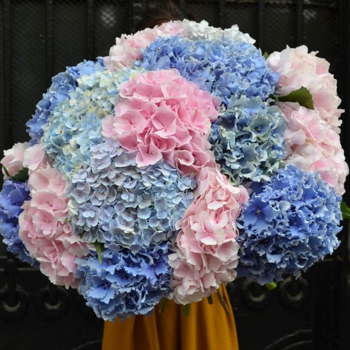 Букет гортензий "Фонтан" в Нижневартовске