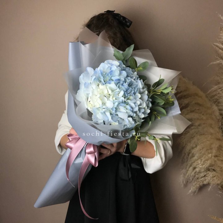 Гортензия Уно в Нижневартовске