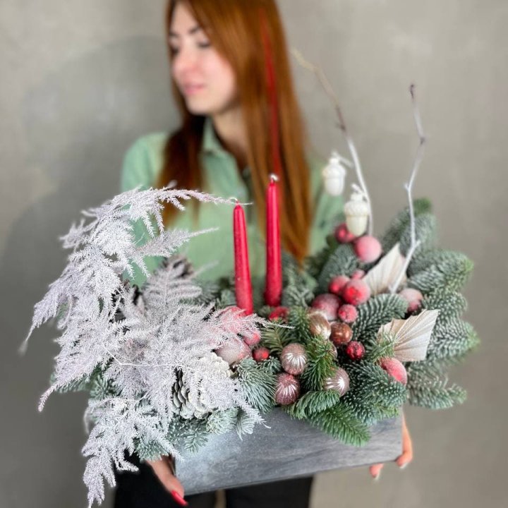 Бокс красный с нобилисом в Нижневартовске