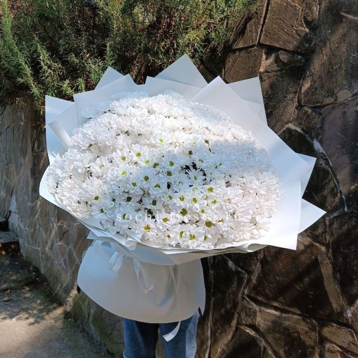 Облако хризантем №2 в Нижневартовске