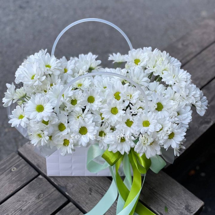 Сумка с хризантемами ромашками в Нижневартовске