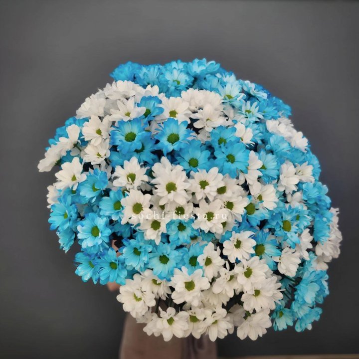  Букет хризантем микс в Нижневартовске