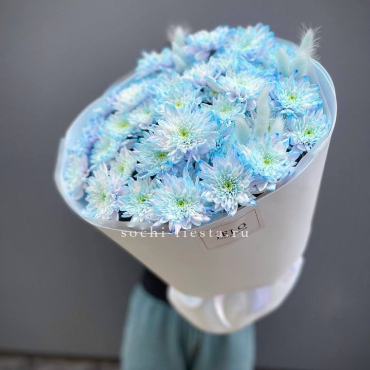 Букет нежно-голубых хризантем  в Нижневартовске