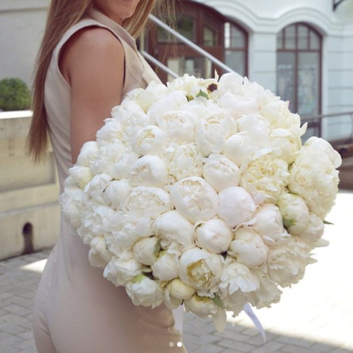 51 белый пион в Нижневартовске