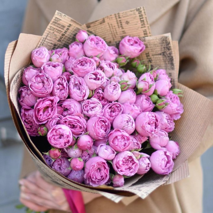 Роза Мисти Баблс в Нижневартовске