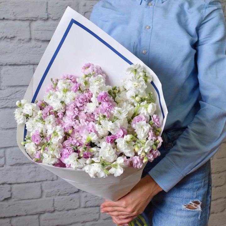 Маттиола в Нижневартовске