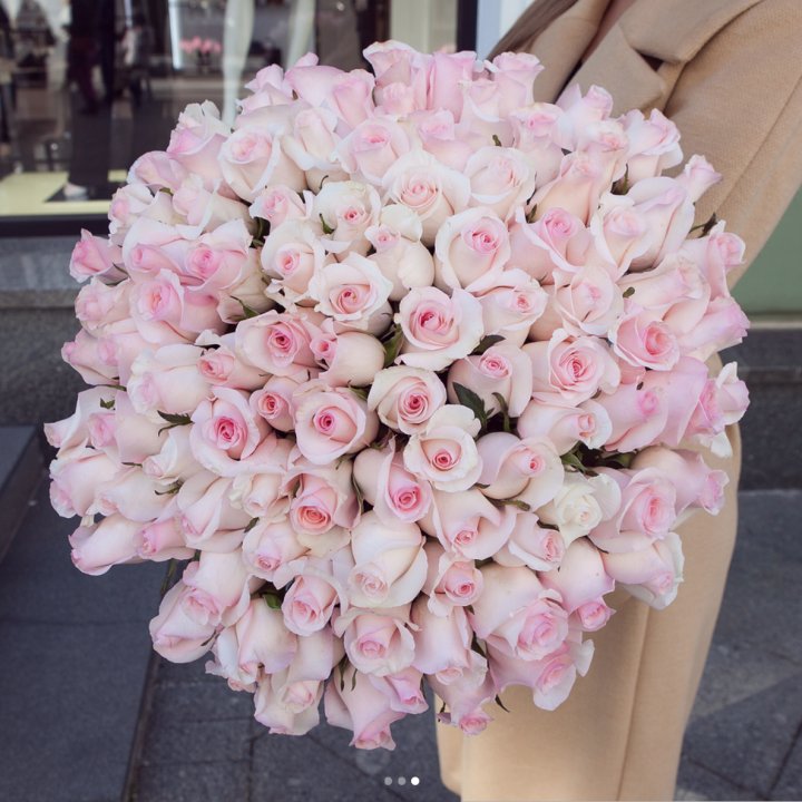 Розы "Пинк бум" в Нижневартовске