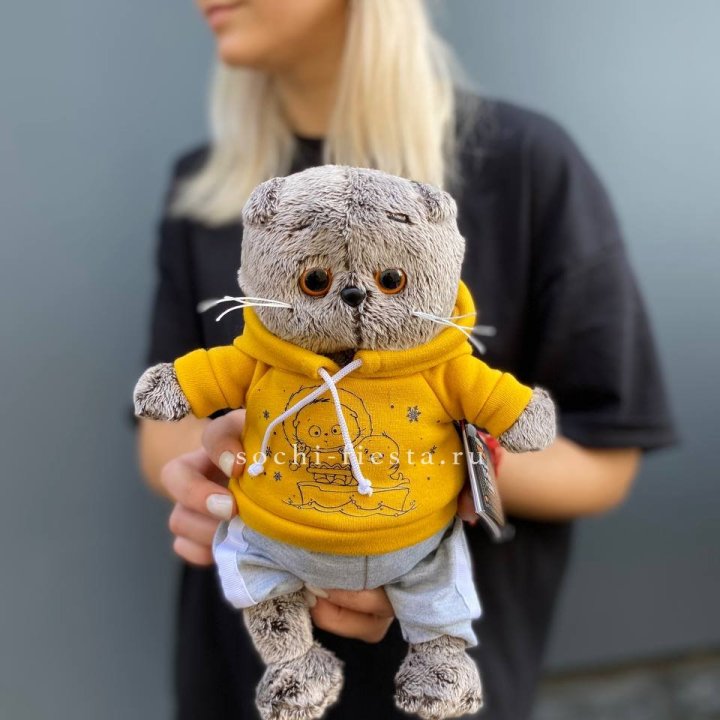 Кот Басик в худи в Нижневартовске