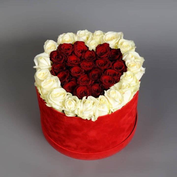 39 красных и белых роз в цилиндре в Нижневартовске