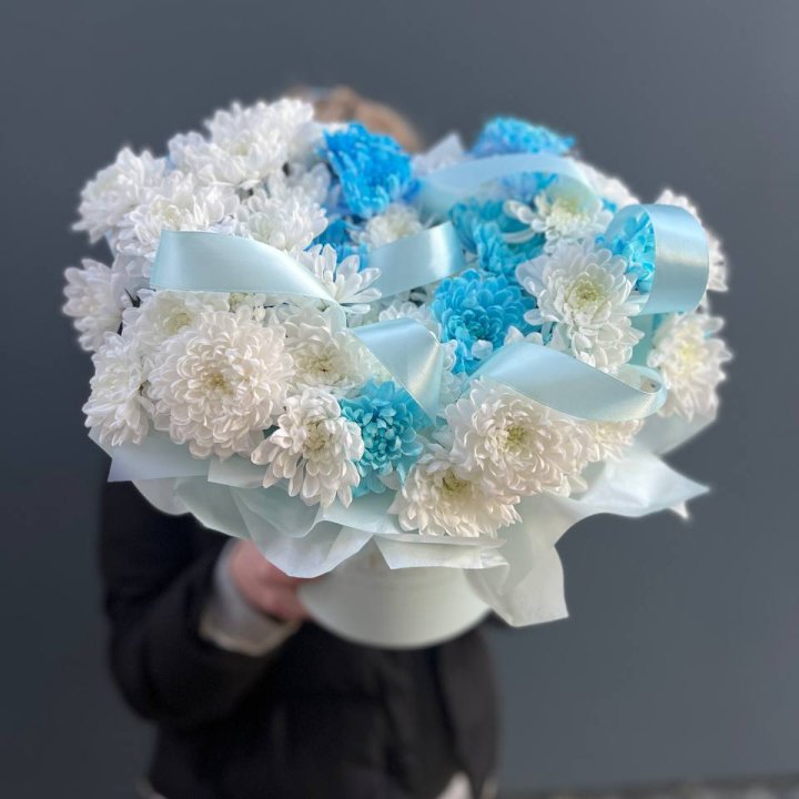 Хризнтемы в боксе в Нижневартовске