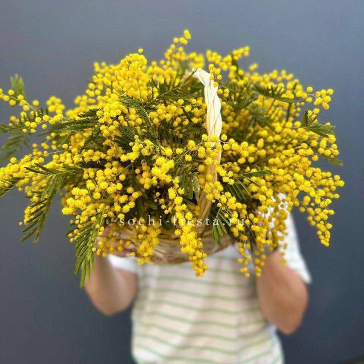 Весенняя корзина мимозы в Нижневартовске