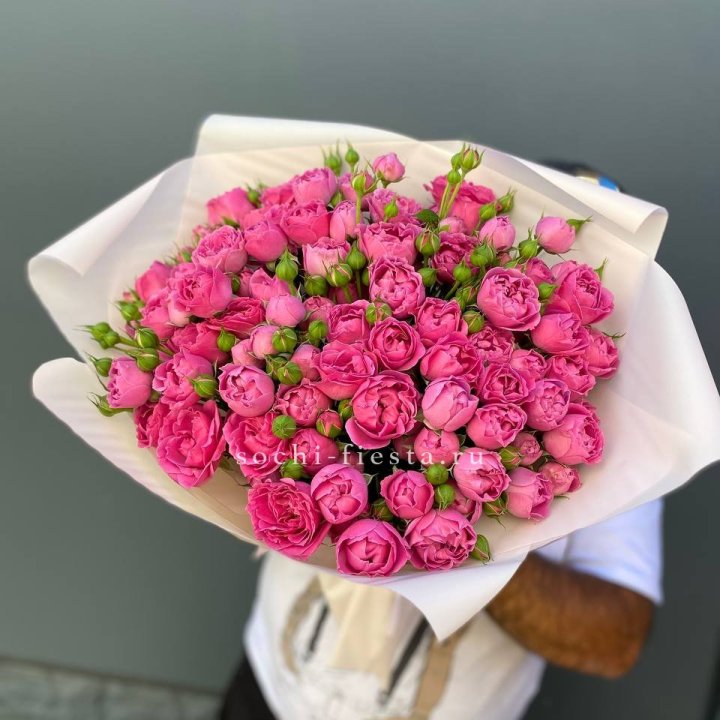 Мисти Баблс 35шт в Нижневартовске