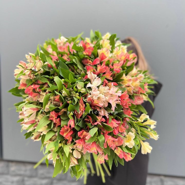 51 альстромерия в Нижневартовске