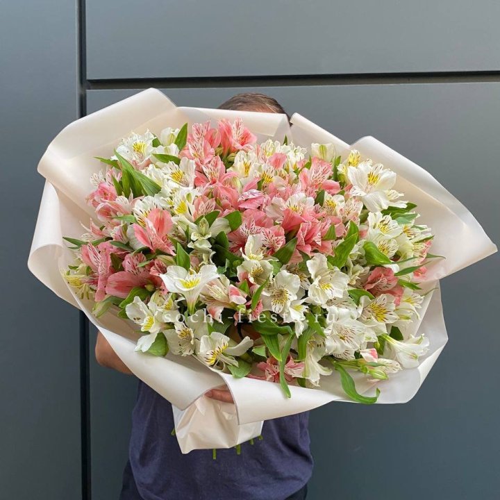 39 альстромерий в Нижневартовске