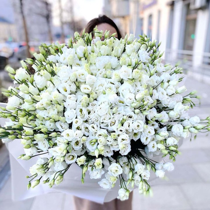 101 белая эустома в Нижневартовске