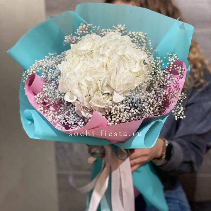 Гортензия "Райдов" в Нижневартовске