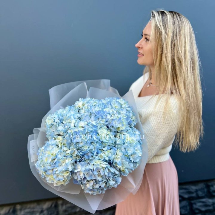 7 голубых гортензий в Нижневартовске