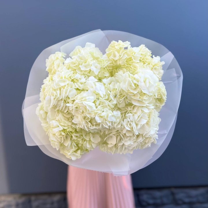 7 белых гортензий в Нижневартовске